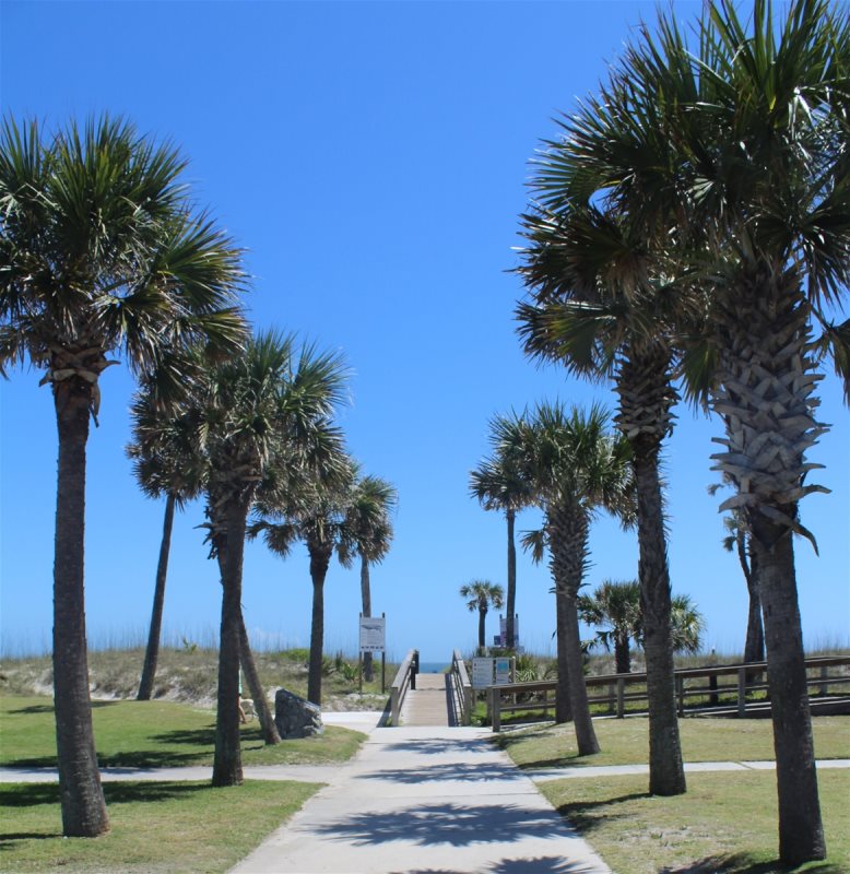 Ocean View Beach Condo Condo Amelia Island Beach
